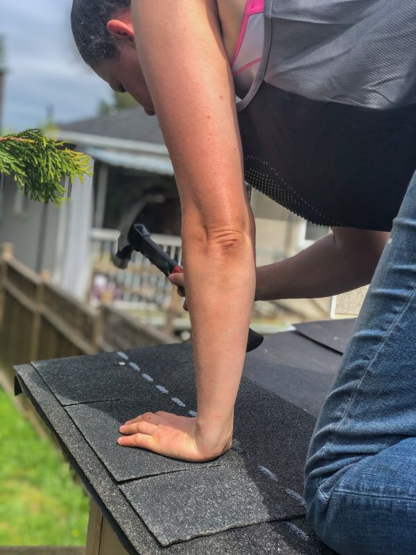 Shingle Replacement Project